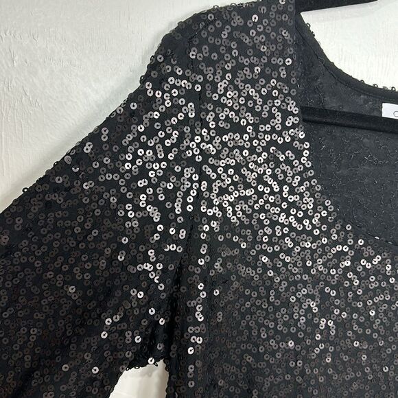 Calvin Klein Black Beaded Sequins 3/4 Sleeves Scoop Neck Top Size 0X - Picture 2 of 8
